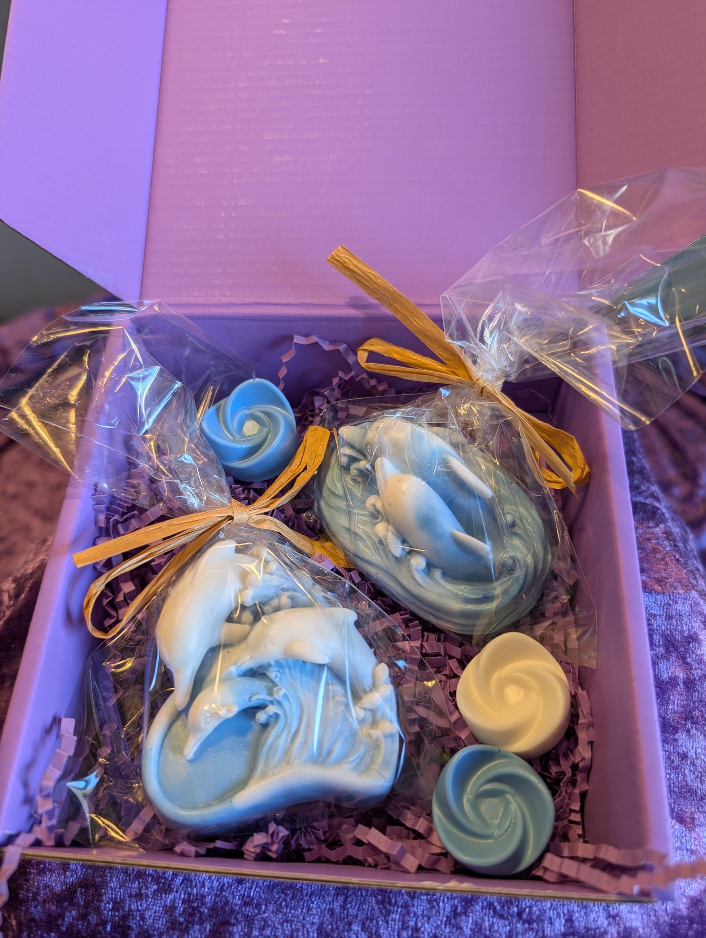 Dolphin soap set